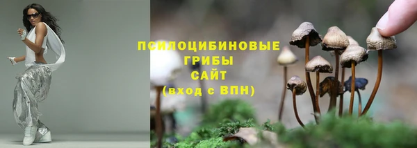 винт Алексин